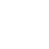 iconshopee