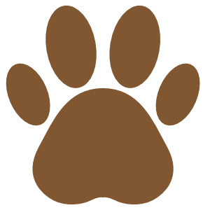 Paw